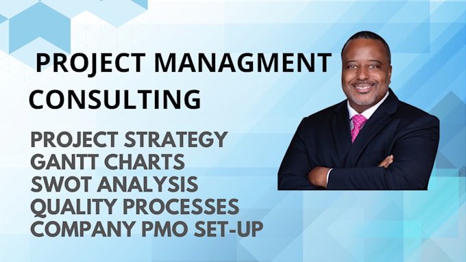 Bestseller - be your executive project management and pmo consultant