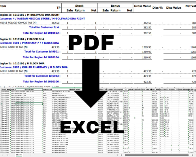 Gig Preview - Do data entry, copy paste and pdf to excel