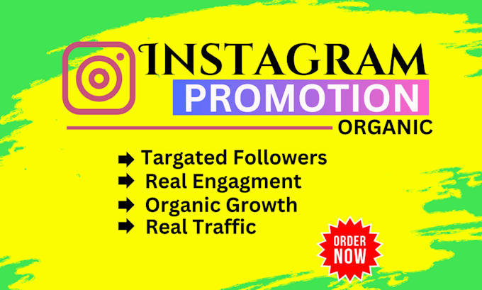 Gig Preview - Do instagram growth with organic promotion