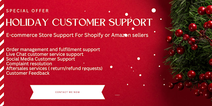 Gig Preview - Deliver exceptional ecommerce customer support this holiday season