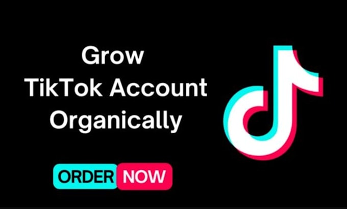 Gig Preview - Grow and promote your tiktok account organically