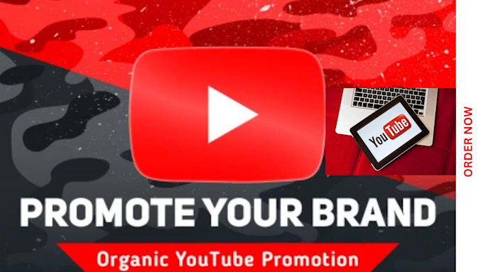 Gig Preview - Do organic youtube video promotion