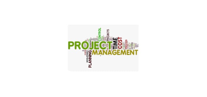 Bestseller - provide project management, consulting and technical support