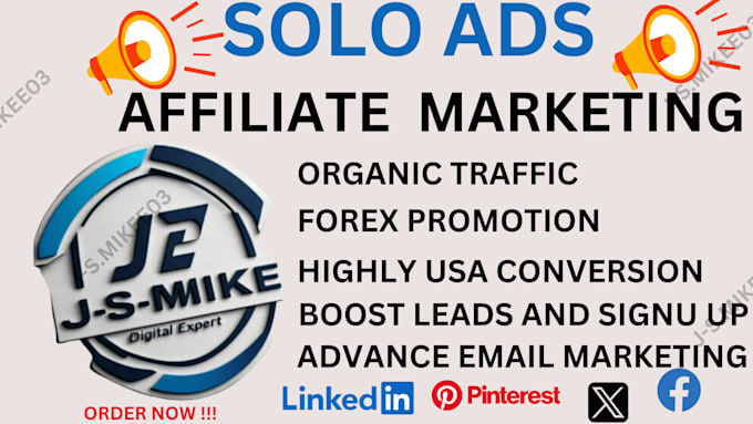 Gig Preview - Do USA solo ads campaign clickbank affiliate marketing MLM forex lead, any  link