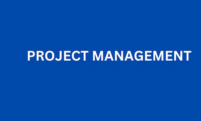 Gig Preview - Be your project manager