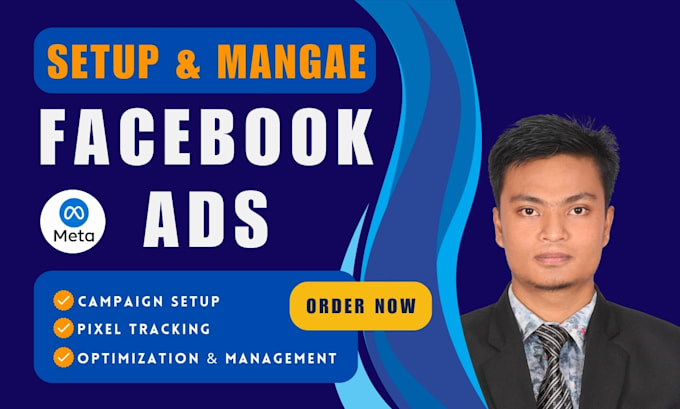 Gig Preview - Set up facebook and instagram ads for leads and sales