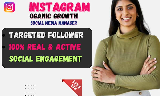 Gig Preview - Do instagram marketing and promotion