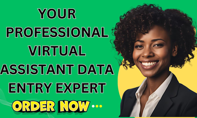 Gig Preview - Be your professional virtual assistant for data entry and web research