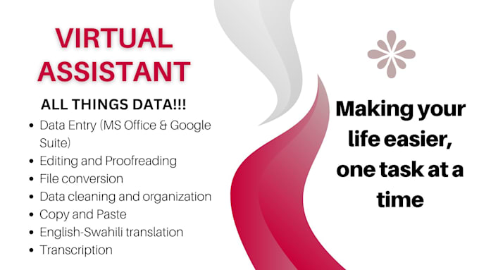 Gig Preview - Be your dedicated virtual assistant assisting in all things data