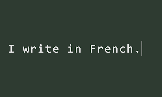 Gig Preview - Write an article in french for your website