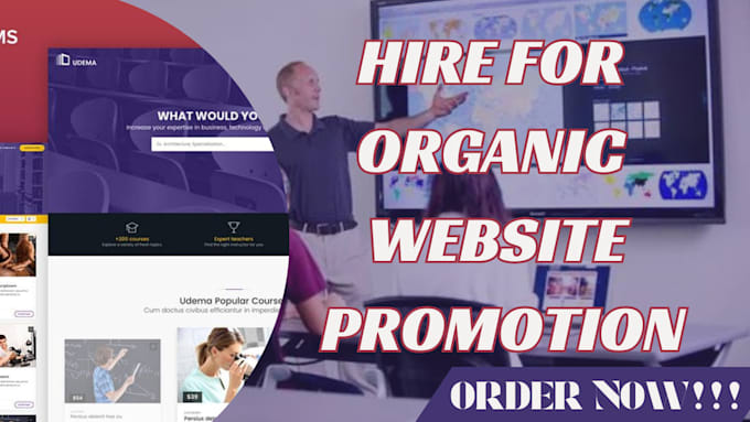 Gig Preview - Do organic promote business websites real estate ecommerce website upscale