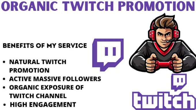 Gig Preview - Increase kick, twitch channel follower, views to get twitch affiliate or partner