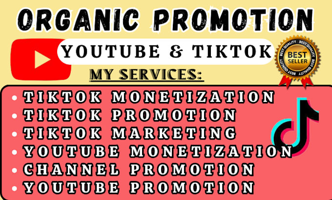 Gig Preview - Do organic channel promotion, tiktok youtube monetization and followers growth