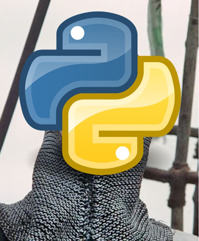 Gig Preview - Build your custom python based business tool