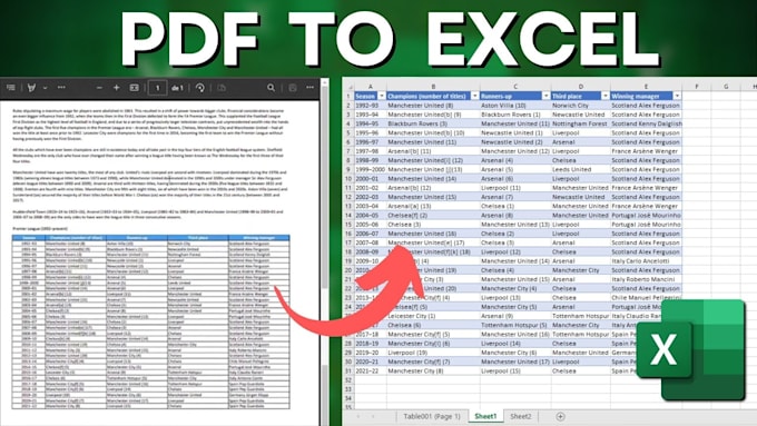 Gig Preview - Do accurate data entry work and convert pdf to excel