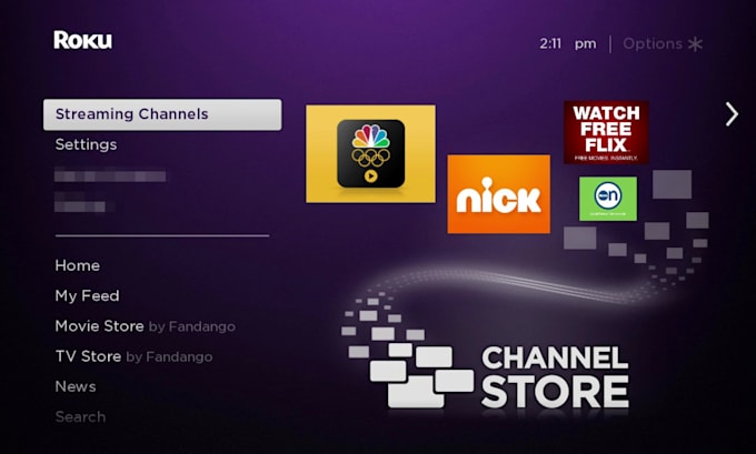 Gig Preview - Professional roku channel development and firestick channel