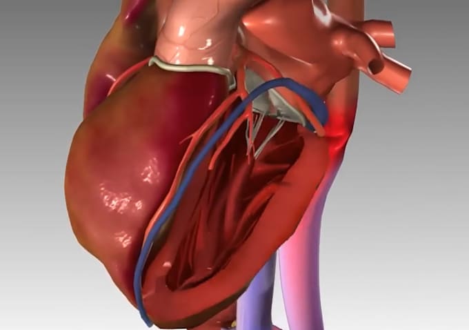 Bestseller - medical animation video 3d model surgery anatomy explainer video animation maya