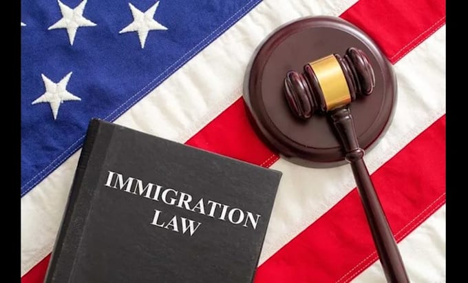 Gig Preview - Be your online lawyer for UK,USA visa immigration and application