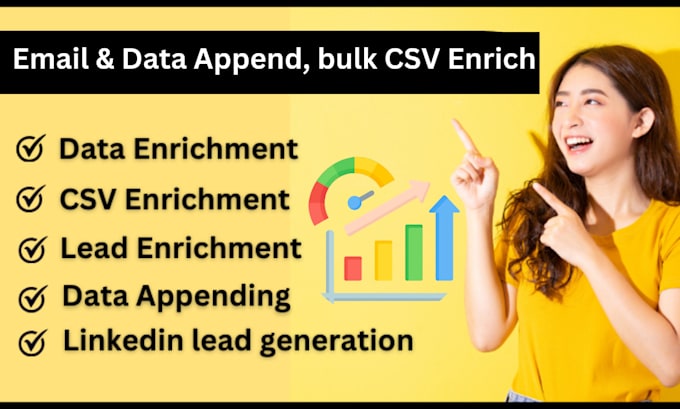 Gig Preview - Email append, data append, bulk CSV enrichment CRM enrichment and data entry