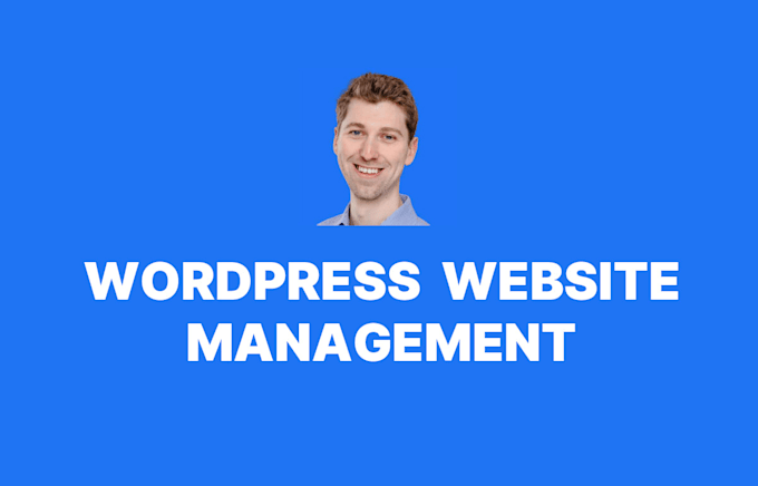 Gig Preview - Provide maintenance and support for your wordpress website