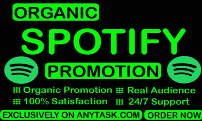 Gig Preview - Do organic spotify music promotion USA promo