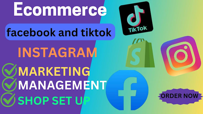 Gig Preview - Set up facebook, instagram, pinterest tiktok shop and integrate to shopify store