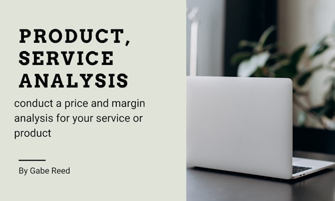 Gig Preview - Conduct a price and margin analysis for your service or product