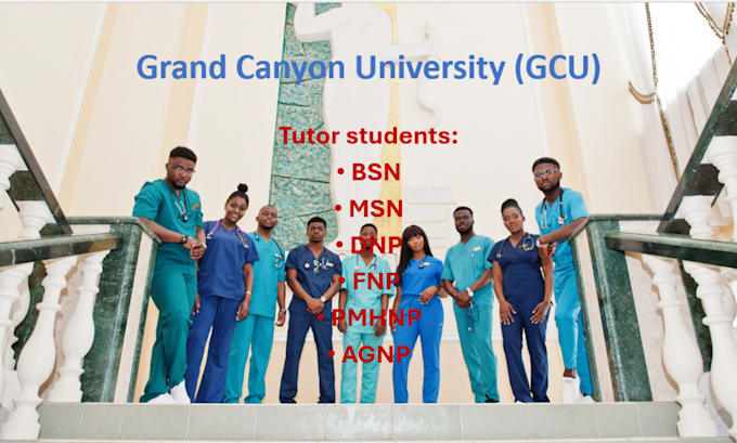 Gig Preview - Tutor nursing, rn, bsn, msn, pmhnp, dnp, fnp, agnp