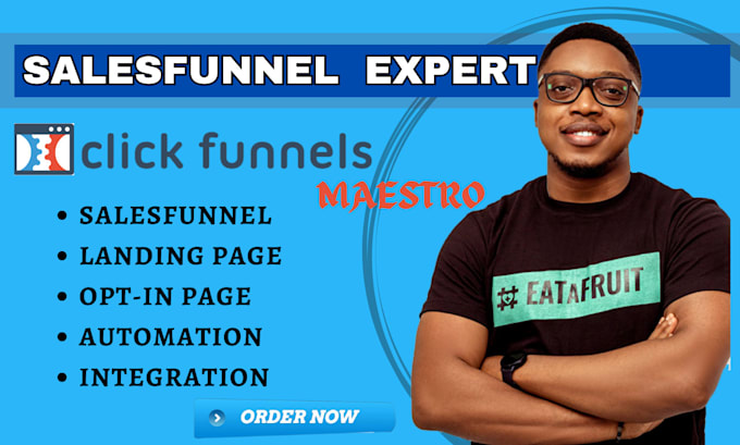 Gig Preview - Build funnel dns systeme io salesfunnel clickfunnels landing page gohighlevel