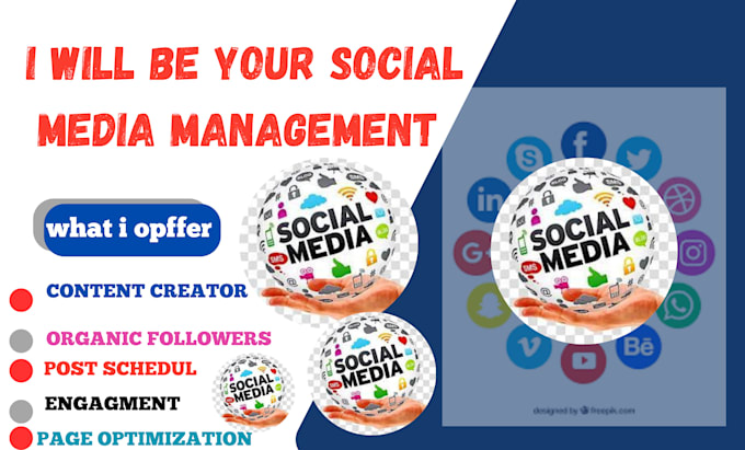 Gig Preview - Be your social media management and your content creator