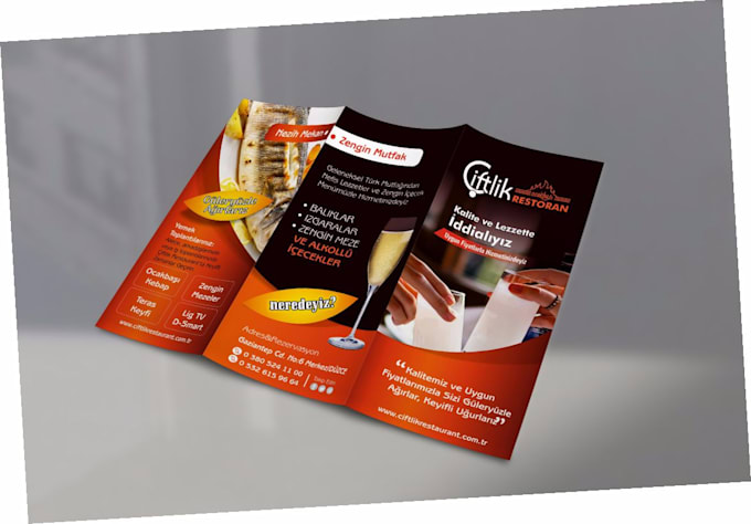 Gig Preview - Do professional trifold brochure design for you