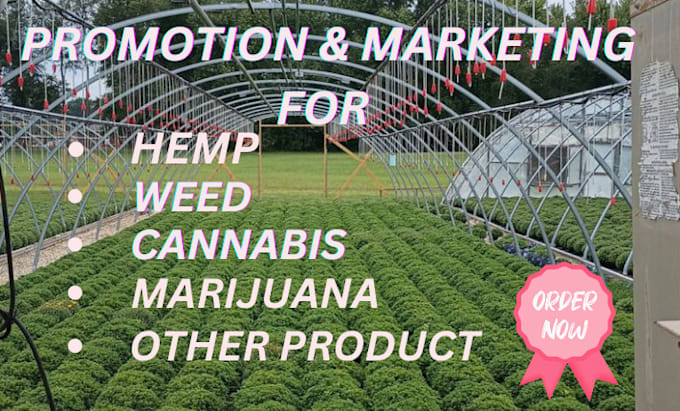 Gig Preview - Promote cannabis website market marijuana hemp cbd promotion