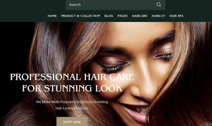 Gig Preview - Update your hair extension website