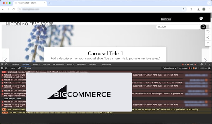 Gig Preview - Do bigcommerce troubleshooting and investigation