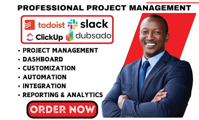 Gig Preview - Be your project manager clickup taxlayer todoist dubsado capsule taxdome expert