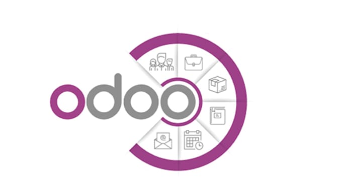 Bestseller - odoo website development problems solving