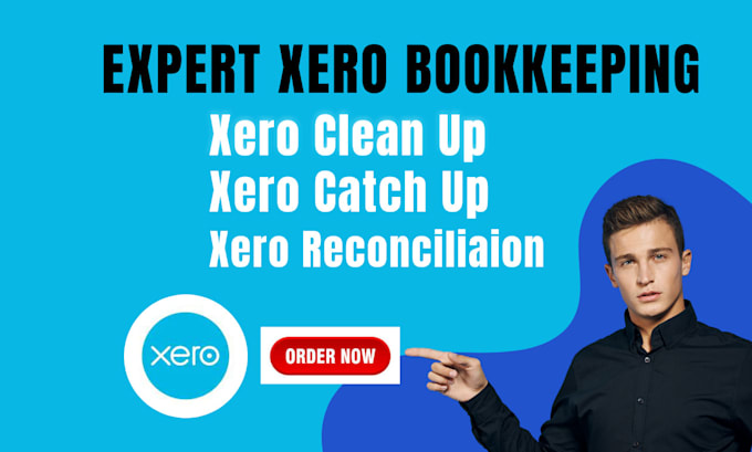 Gig Preview - Do xero setup clean up reconciliation ongoing bookkeeping