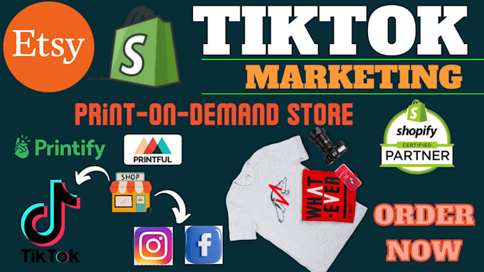 Gig Preview - Set up shopify printful printify instagram tik tok pod print on demand shop ads