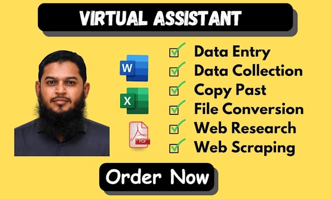 Gig Preview - Be your virtual assistant for data entry, web research and general assistance