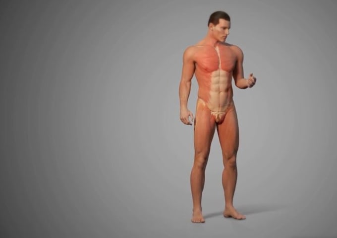 Bestseller - do 3d medical character animation, 3d medical device, 3d surgery animation