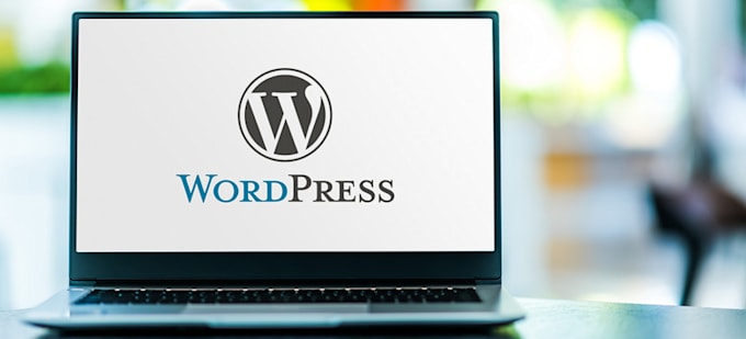 Bestseller - install wordpress cms with theme