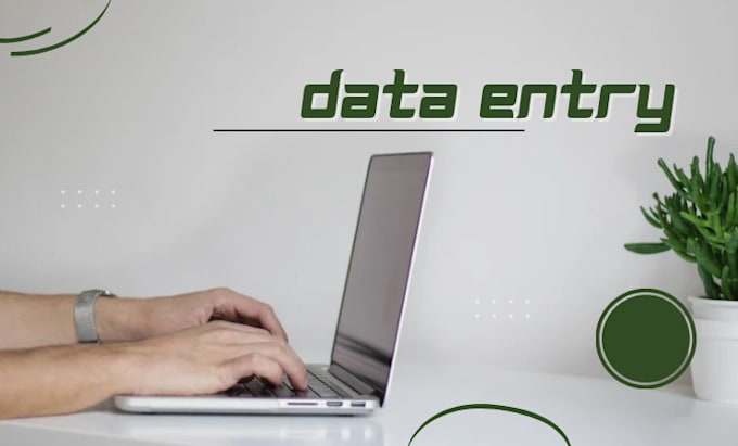 Gig Preview - Provide data entry services for your business