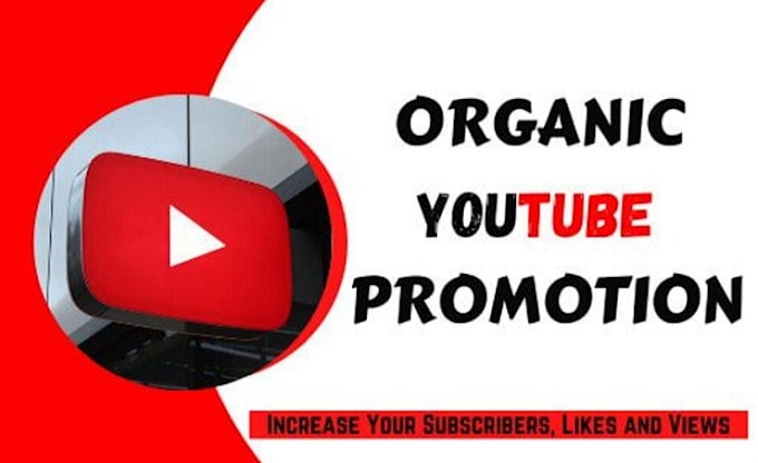 Gig Preview - Professionally promote your youtube channel to grow audience