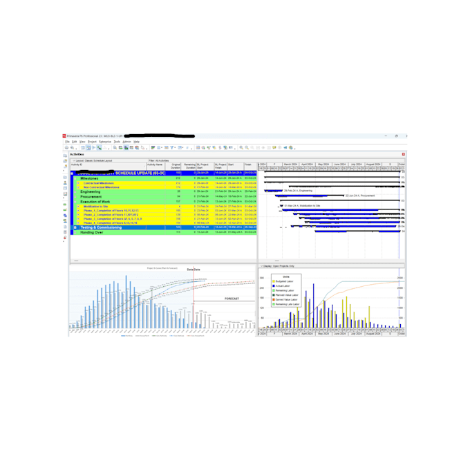 Bestseller - make project schedule using primavera p6 with gantt chart