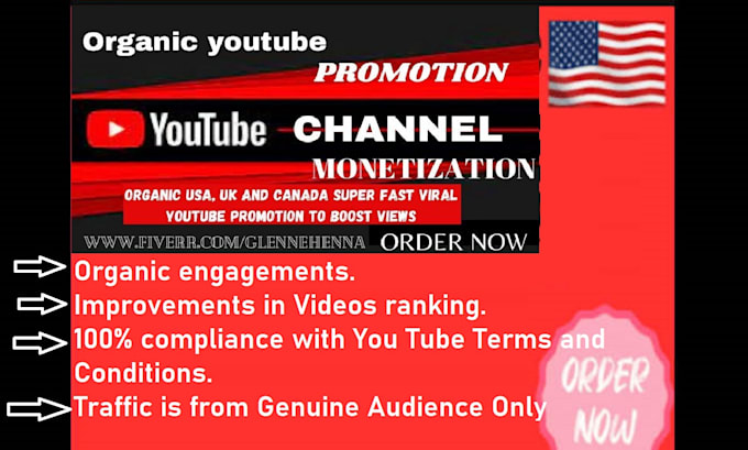 Bestseller - do organic youtube usa video promotion