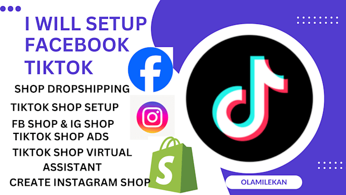 Gig Preview - Setup facebook shop tiktok,instagram shop and complete store