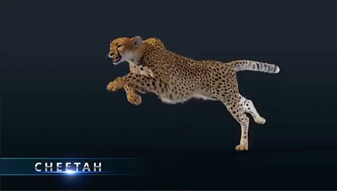 Gig Preview - Create 3d photorealistic animal animation, 3d animal model with fur, 3d rigging