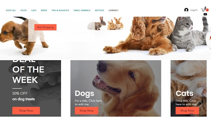 Gig Preview - Design  pet care pet store pet grooming pet sitting dog sitting wix website