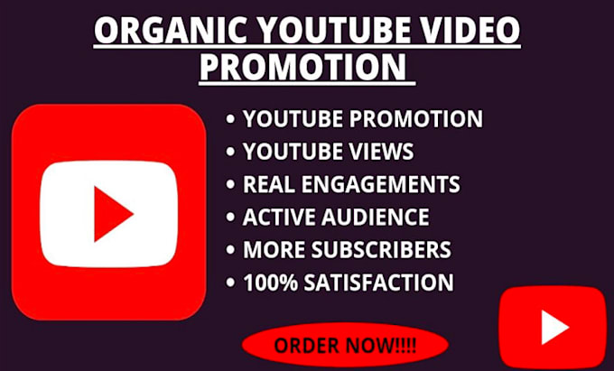 Gig Preview - Do youtube monetization, channel promotion,  video seo , y0utb management