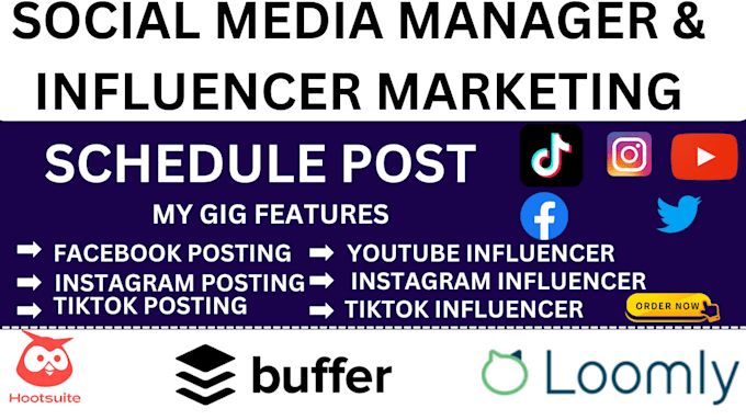 Gig Preview - Be social media post manager schedule post buffer hootsuite influencer marketing